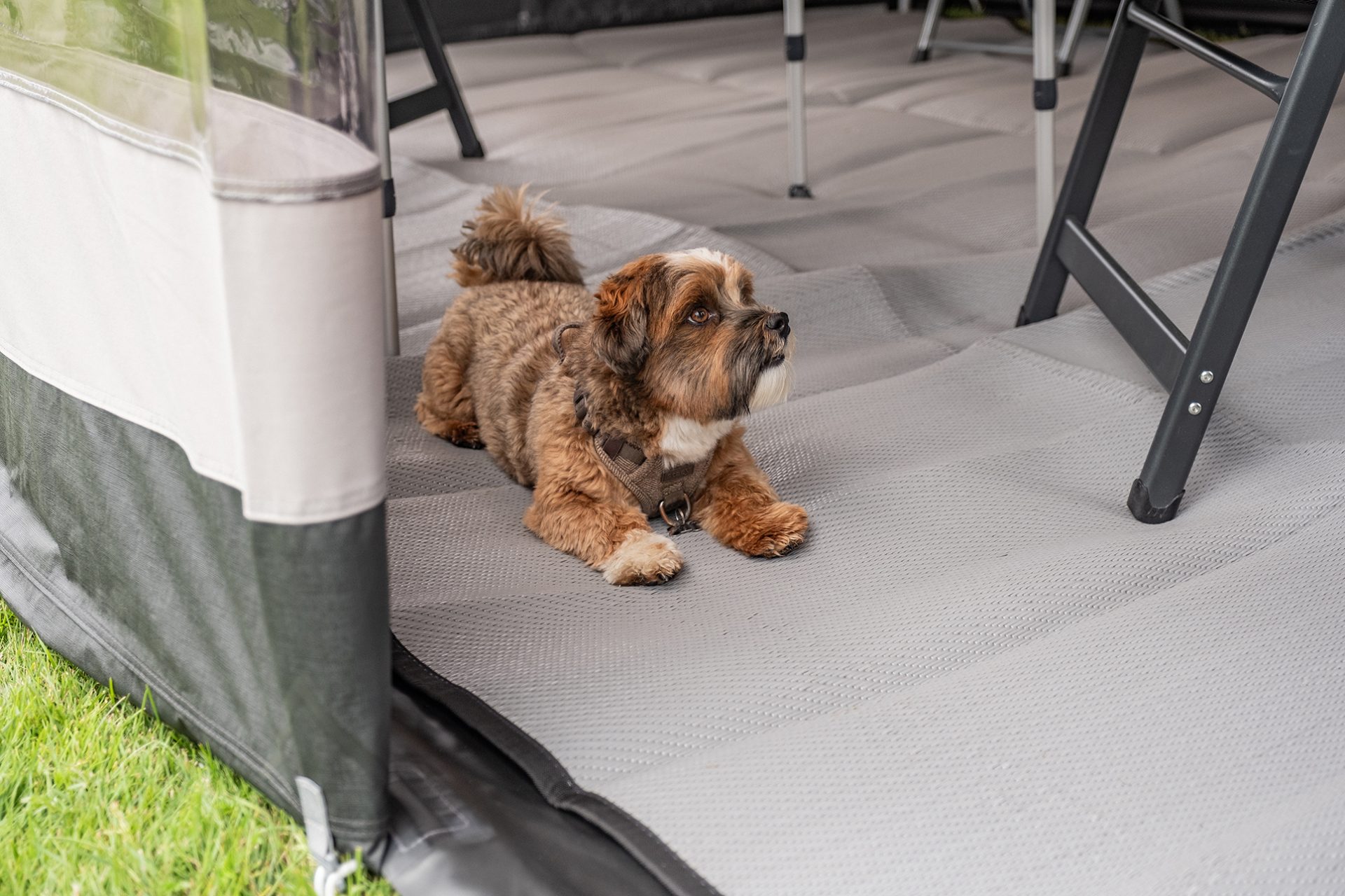 Telta Life 390 Air Awning - 2026 - Image 5